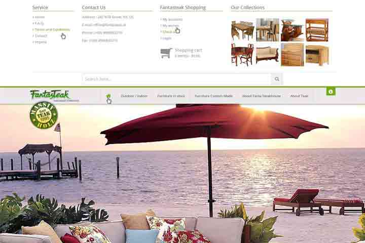 Website Devlopment-furniture-template