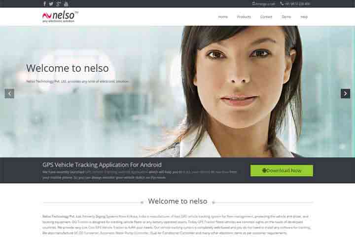 Website Devlopment-nelsotech-template